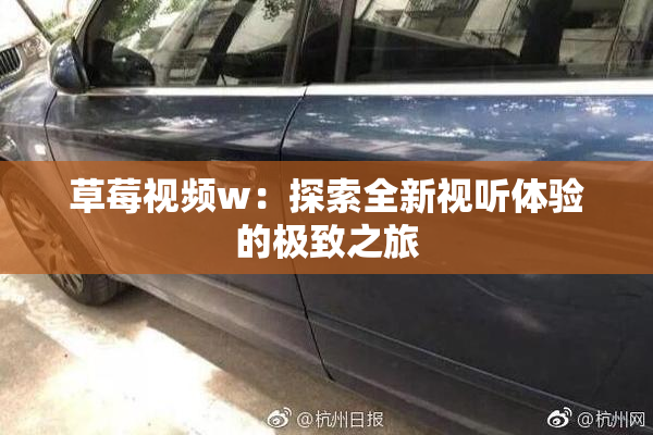草莓视频w：探索全新视听体验的极致之旅