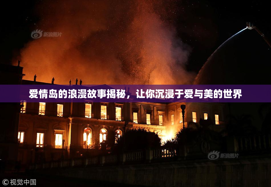 爱情岛的浪漫故事揭秘，让你沉浸于爱与美的世界