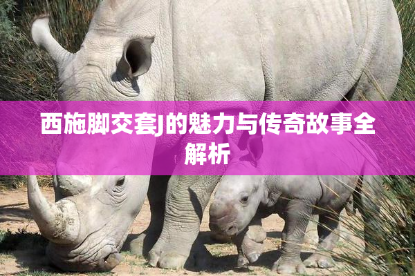 西施脚交套J的魅力与传奇故事全解析