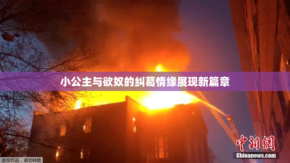小公主与欲奴的纠葛情缘展现新篇章