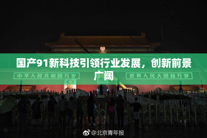 国产91新科技引领行业发展，创新前景广阔