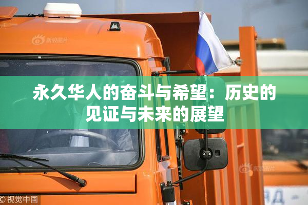 永久华人的奋斗与希望：历史的见证与未来的展望