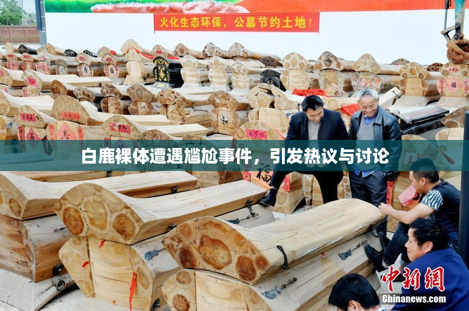 白鹿裸体遭遇尴尬事件，引发热议与讨论