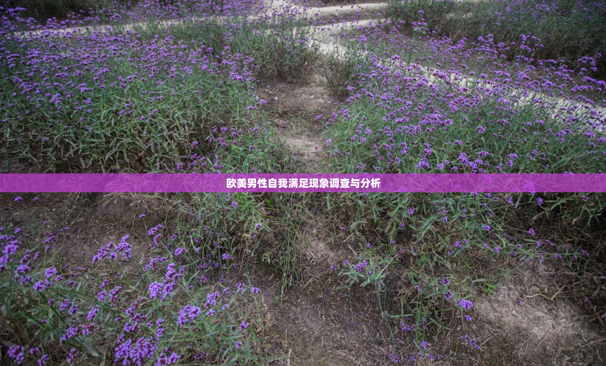 欧美男性自我满足现象调查与分析
