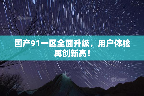国产91一区全面升级，用户体验再创新高！
