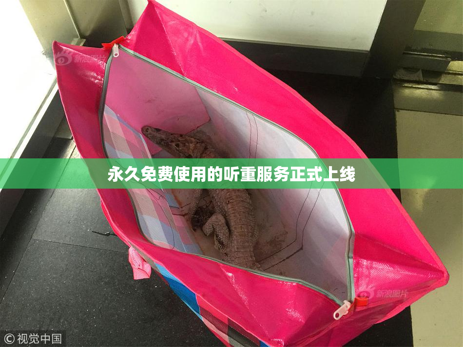 永久免费使用的听重服务正式上线