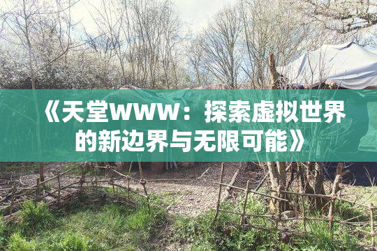 《天堂WWW：探索虚拟世界的新边界与无限可能》