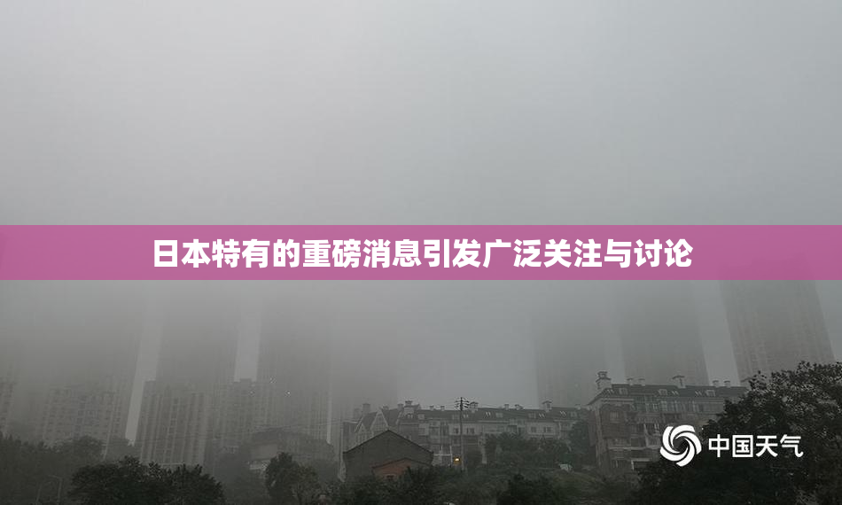日本特有的重磅消息引发广泛关注与讨论