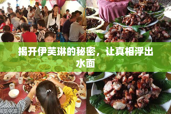 揭开伊芙琳的秘密，让真相浮出水面