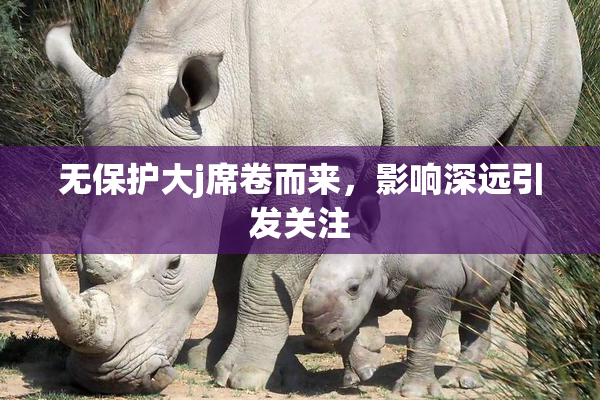 无保护大j席卷而来，影响深远引发关注