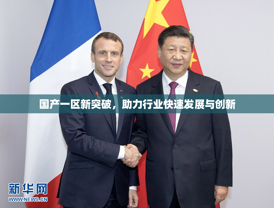 国产一区新突破，助力行业快速发展与创新