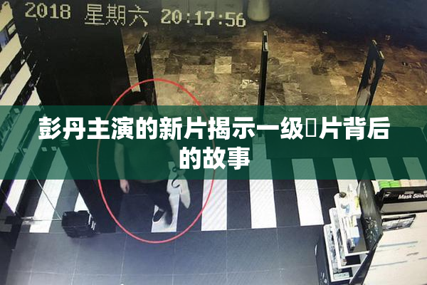 彭丹主演的新片揭示一级婬片背后的故事