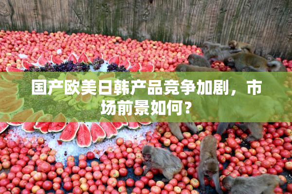 国产欧美日韩产品竞争加剧，市场前景如何？
