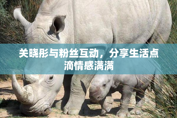 关晓彤与粉丝互动，分享生活点滴情感满满