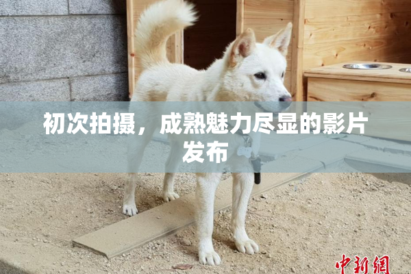 初次拍摄，成熟魅力尽显的影片发布