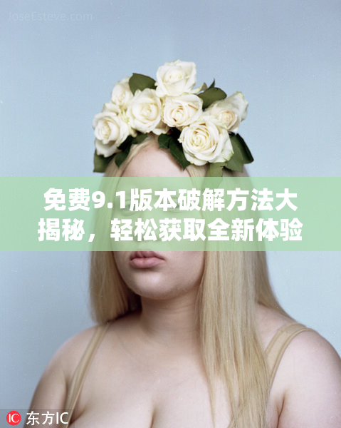 免费9.1版本破解方法大揭秘，轻松获取全新体验