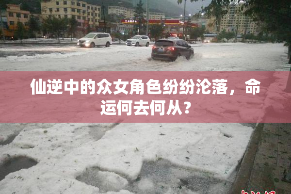仙逆中的众女角色纷纷沦落，命运何去何从？