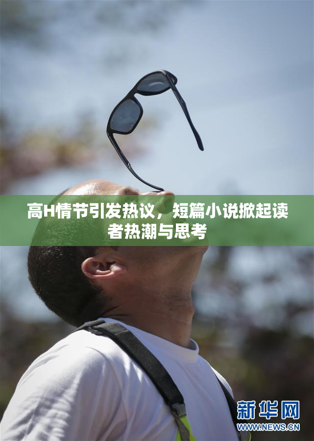 高H情节引发热议，短篇小说掀起读者热潮与思考