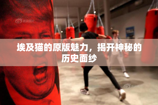 埃及猫的原版魅力，揭开神秘的历史面纱