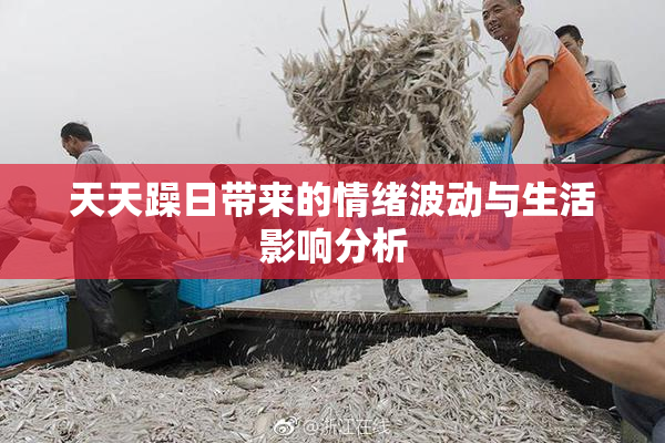 天天躁日带来的情绪波动与生活影响分析