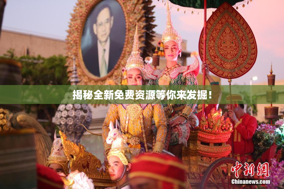 揭秘全新免费资源等你来发掘！