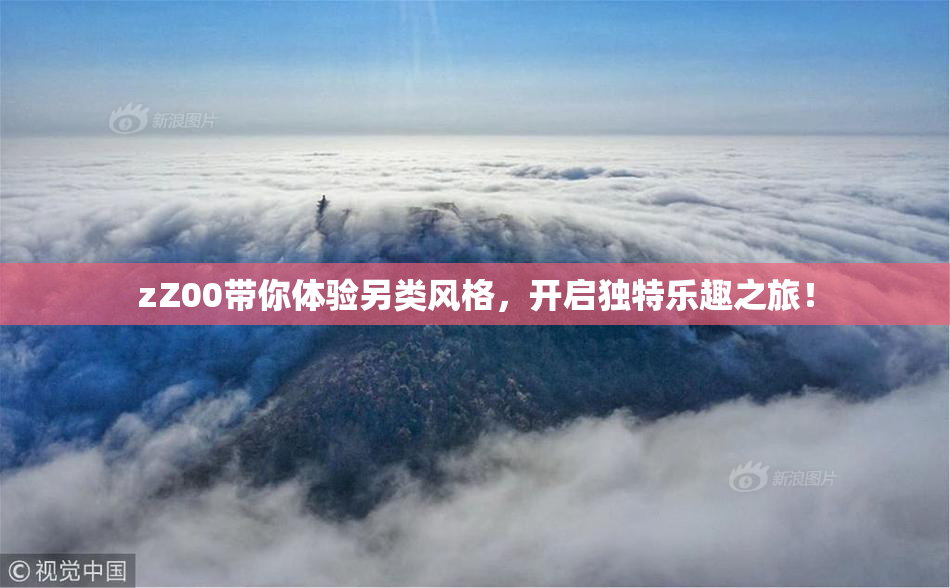 zZ00带你体验另类风格，开启独特乐趣之旅！