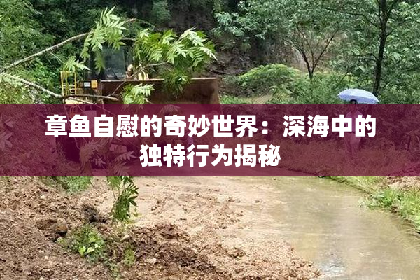 章鱼自慰的奇妙世界：深海中的独特行为揭秘