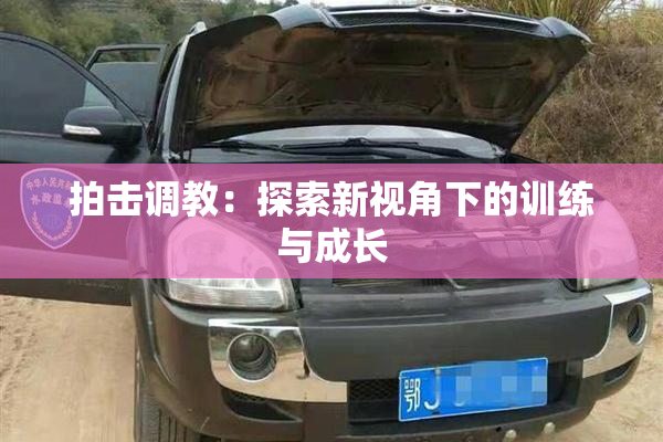 拍击调教：探索新视角下的训练与成长
