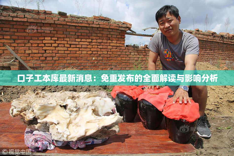 口子工本库最新消息：免重发布的全面解读与影响分析