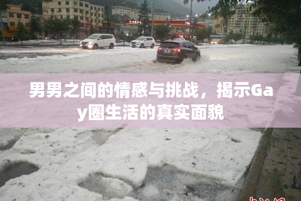男男之间的情感与挑战，揭示Gay圈生活的真实面貌