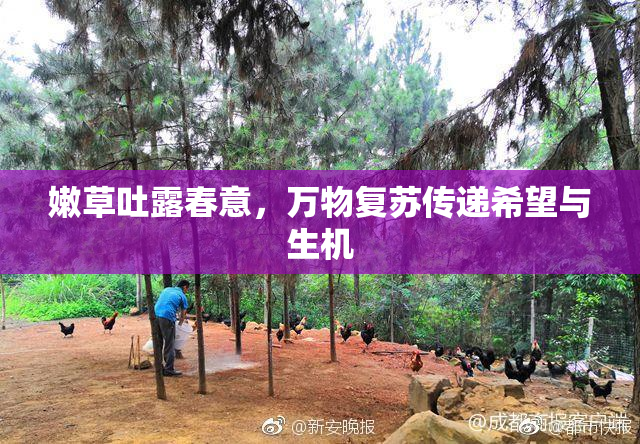 嫩草吐露春意，万物复苏传递希望与生机