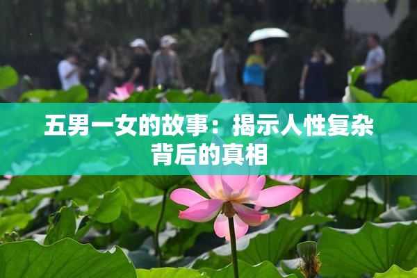五男一女的故事：揭示人性复杂背后的真相