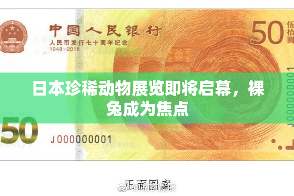 日本珍稀动物展览即将启幕，裸兔成为焦点