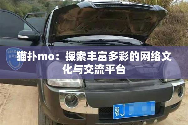 猫扑mo：探索丰富多彩的网络文化与交流平台