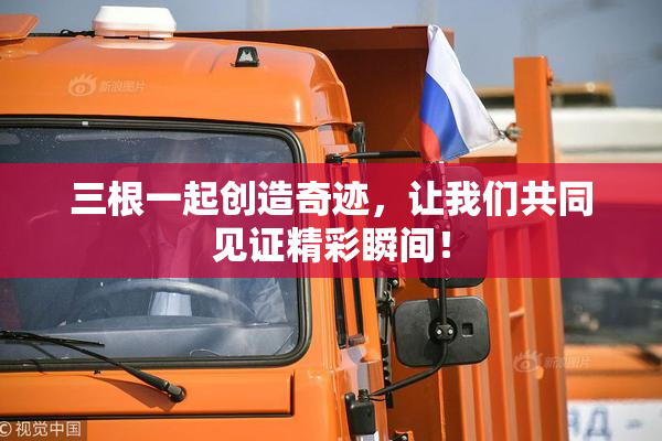 三根一起创造奇迹，让我们共同见证精彩瞬间！