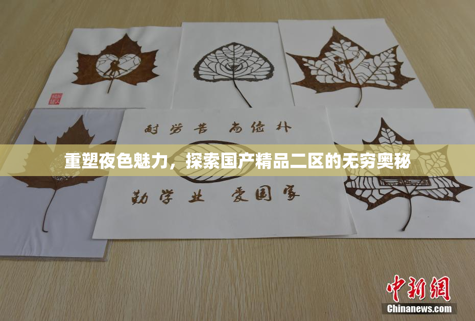 重塑夜色魅力，探索国产精品二区的无穷奥秘