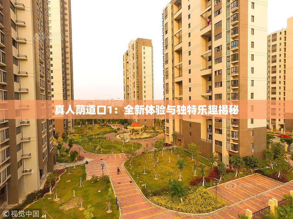 真人荫道口1：全新体验与独特乐趣揭秘
