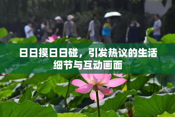日日摸日日碰，引发热议的生活细节与互动画面