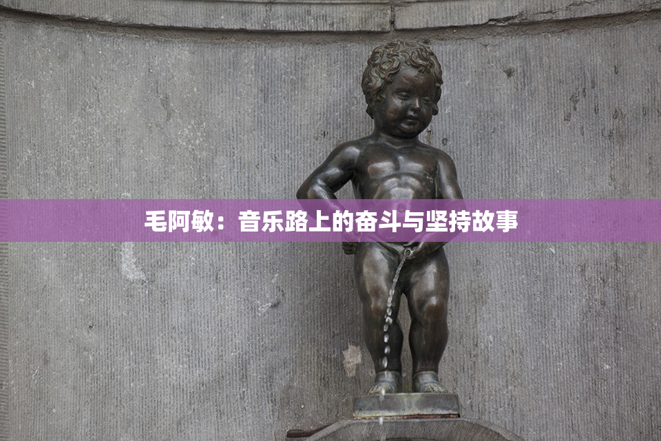 毛阿敏：音乐路上的奋斗与坚持故事