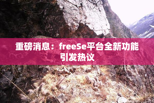 重磅消息：freeSe平台全新功能引发热议