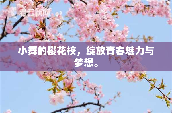 小舞的樱花校，绽放青春魅力与梦想。