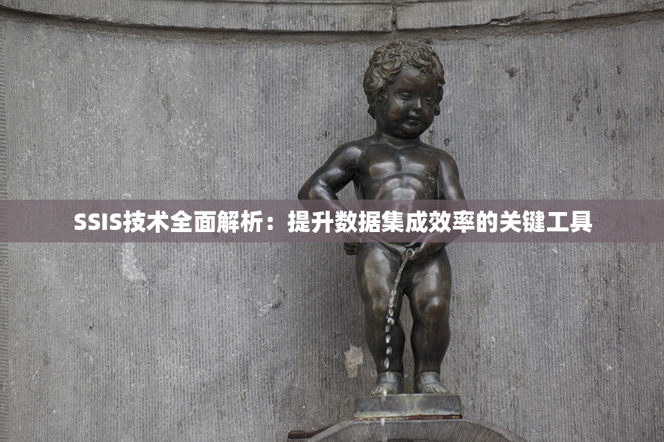 SSIS技术全面解析：提升数据集成效率的关键工具