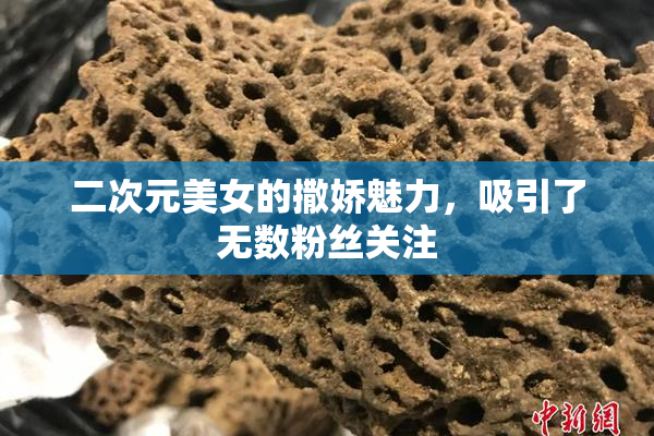 二次元美女的撒娇魅力，吸引了无数粉丝关注