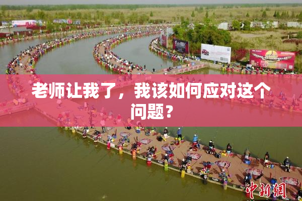 老师让我了，我该如何应对这个问题？