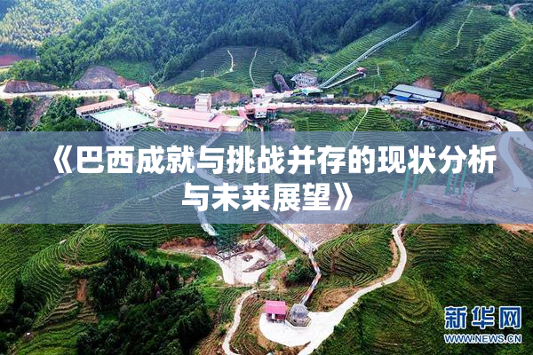《巴西成就与挑战并存的现状分析与未来展望》