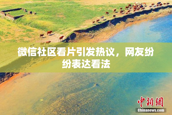 微信社区看片引发热议，网友纷纷表达看法