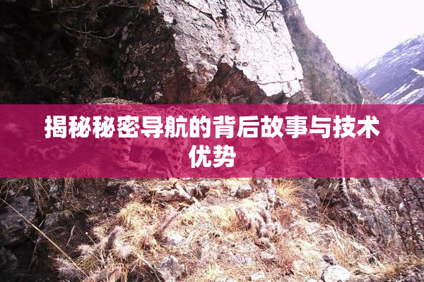 揭秘秘密导航的背后故事与技术优势