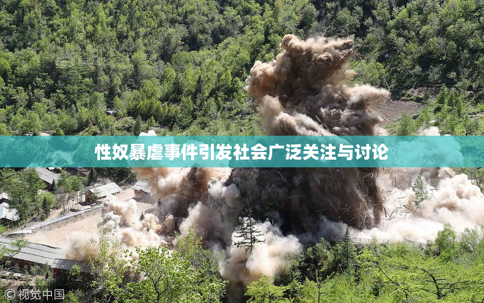 性奴暴虐事件引发社会广泛关注与讨论