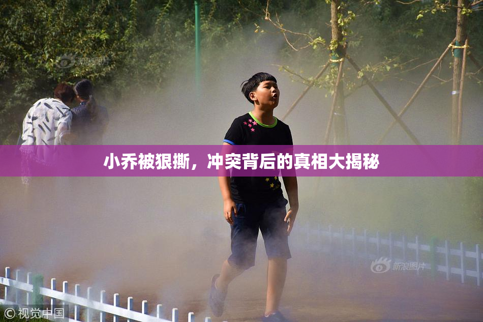 小乔被狠撕，冲突背后的真相大揭秘
