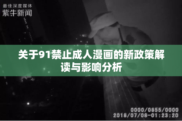 关于91禁止成人漫画的新政策解读与影响分析